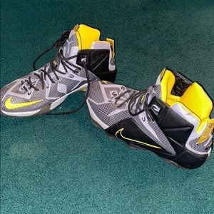 Nike (LeBron) basketball shoes